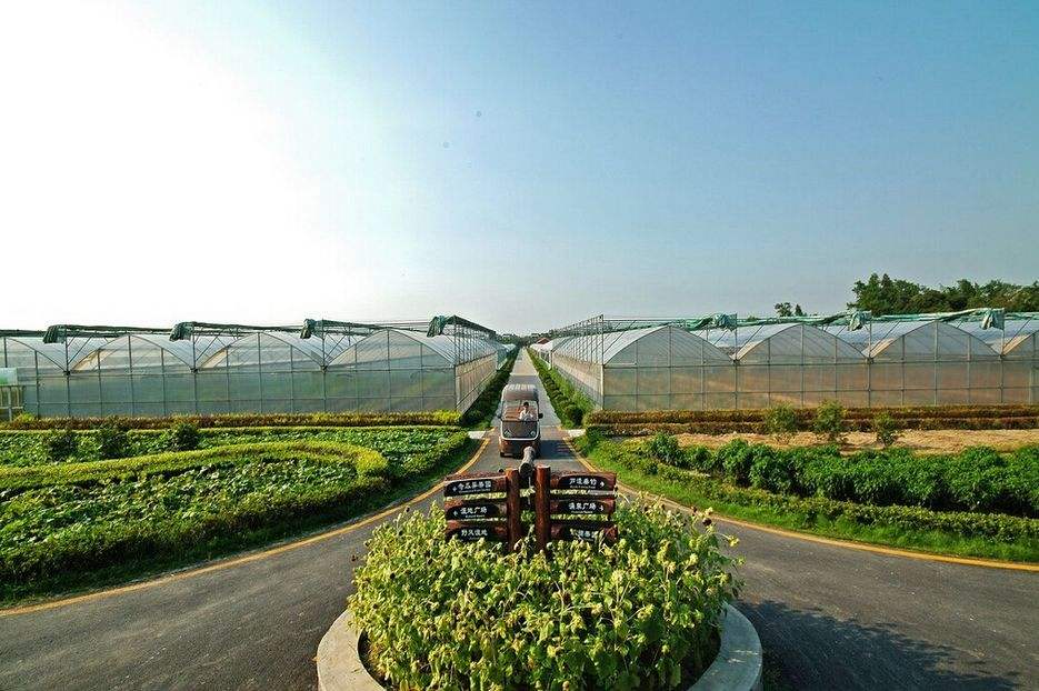 品牌策劃 | 觀光休閑農(nóng)業(yè)旅游項(xiàng)目策劃，告訴你如何經(jīng)營(yíng)農(nóng)場(chǎng)！