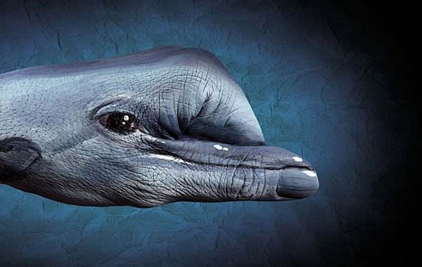 廣告創(chuàng)意的13個類型 廣告創(chuàng)意的13個類型