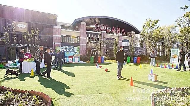 社區(qū)活動|朝陽483個社區(qū)舉辦鄰里節(jié)，活動各式各樣、精彩紛呈